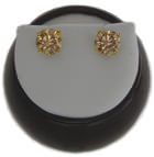 Fancy Champaign Color Earrings